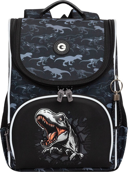 Школьный рюкзак Grizzly RAm-585-11 - фото