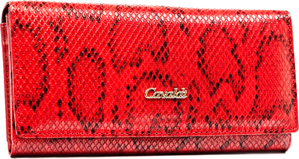 Портмоне Cedar 4ucavaldi PX24-DNH-BL-2267 - фото