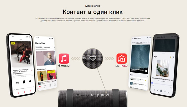 Портативная колонка LG Xboom Grab