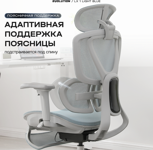 Кресло офисное Evolution LX 1