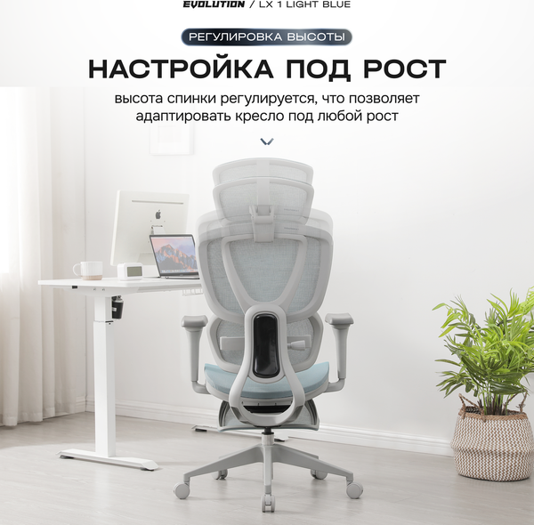 Кресло офисное Evolution LX 1