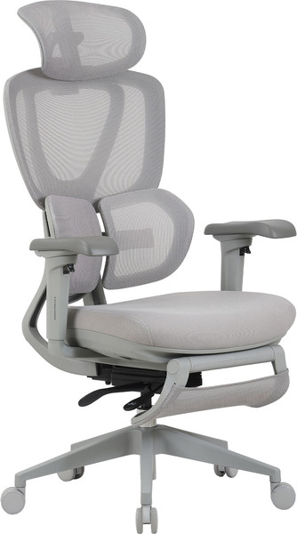 Кресло офисное Evolution LX 2 - фото