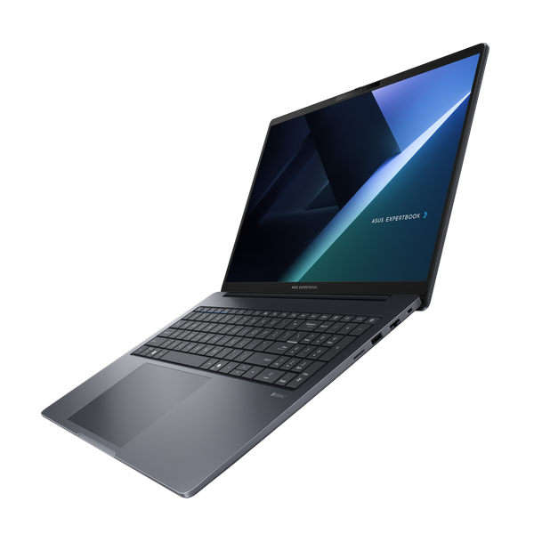 Ноутбук Asus ExpertBook B3 B3605CVA-MB0117