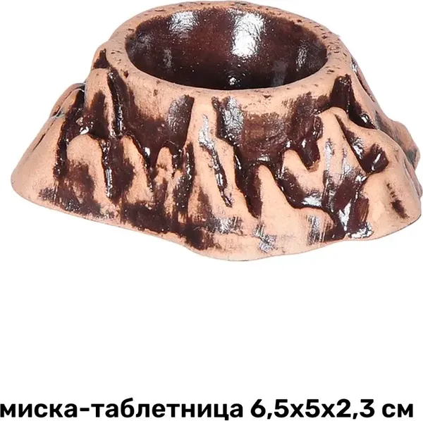 Террариум Gloxy Набор для эублефара / GL-082656