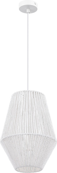 Потолочный светильник Evoluce SLE6025-513-01