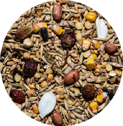 Корм для грызунов ВАКА Premium для хомячков / В54915