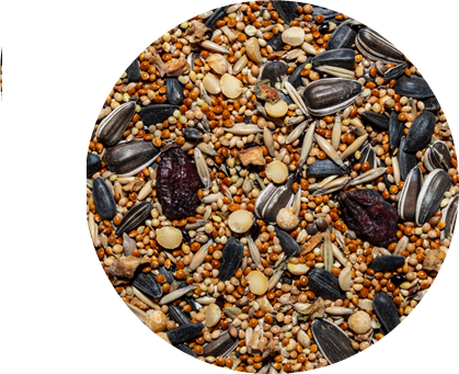 Корм для птиц ВАКА Premium для средних попугаев / В54226