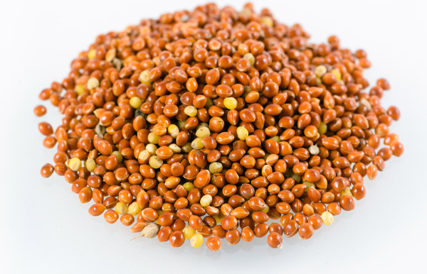 Корм для птиц ЗООМир Просо