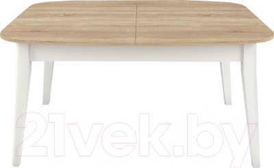 Обеденный стол Васанти Плюс Дорн ДН-06 - фото