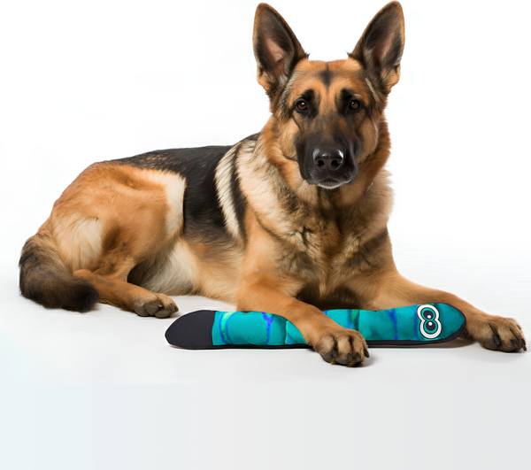 Игрушка для собак HaisenPet Змейка / HP-DT12-5751