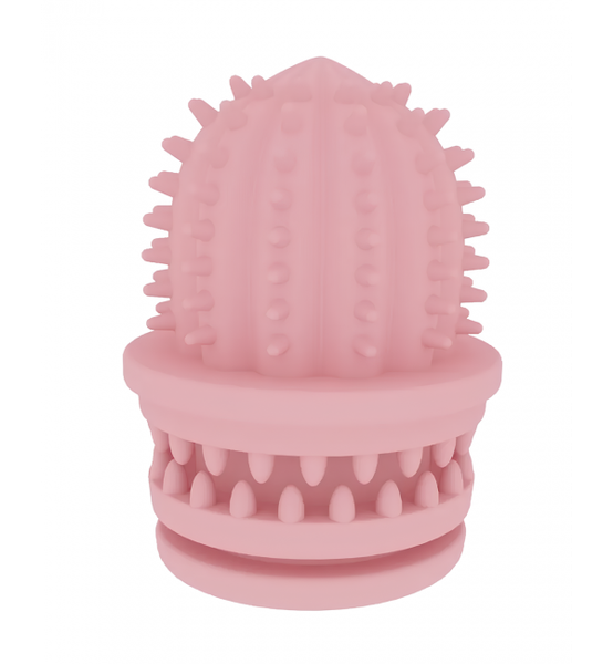 Игрушка для собак HaisenPet Наперсток Кактус / HP-DT8-5775