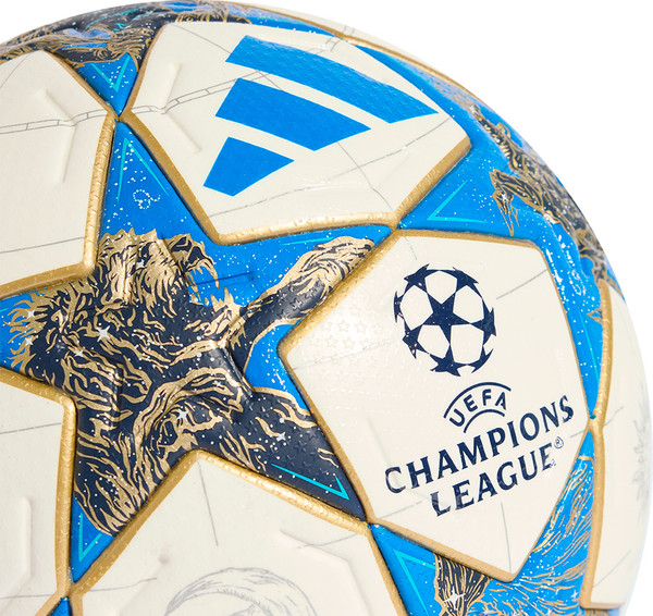 Футбольный мяч Adidas UCL PRO JD0188