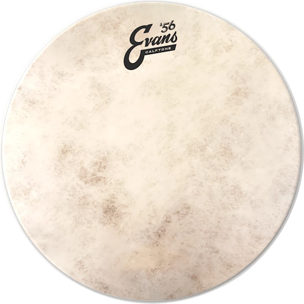 Пластик для барабана Evans TT13C7 - фото