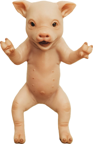 Фигурка коллекционная Magic Manufactory Pets Свинья - фото