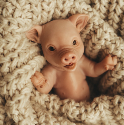 Фигурка коллекционная Magic Manufactory Pets Свинья