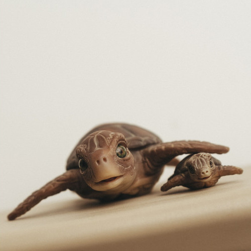 Фигурка коллекционная Magic Manufactory Ocean Черепаха с черепашонком