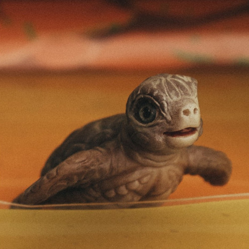 Фигурка коллекционная Magic Manufactory Ocean Черепаха с черепашонком