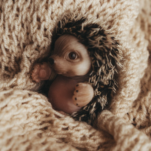 Фигурка коллекционная Magic Manufactory Forest Еж