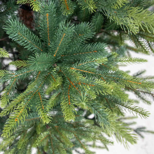 Ель искусственная National Tree Company Версальская 210см / NWPE-LV210