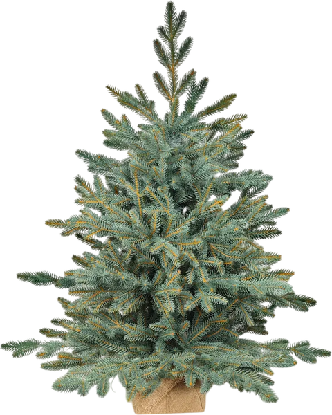 Ель искусственная National Tree Company Рождественская Премиум 90см / РД/ПР-ГЛ-90 (голубой) - фото