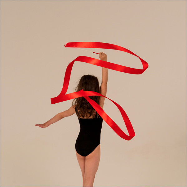 Лента для художественной гимнастики с палочкой Grace Dance 3807364