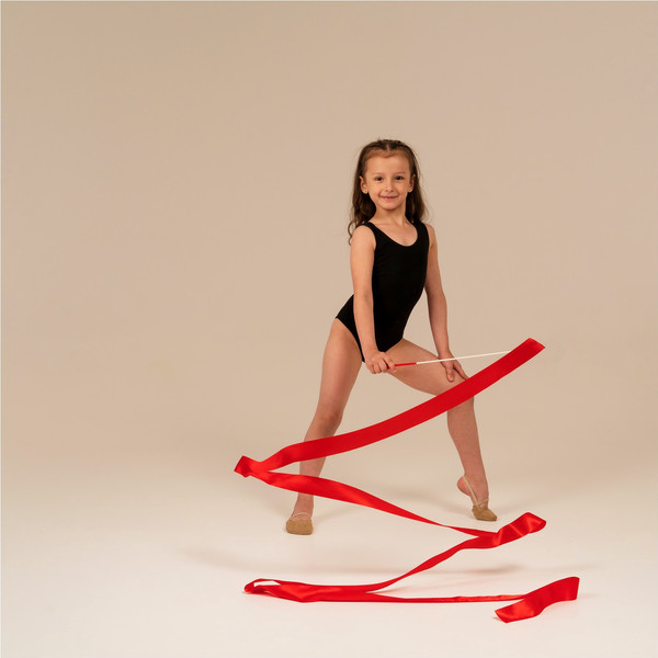 Лента для художественной гимнастики с палочкой Grace Dance 3807364