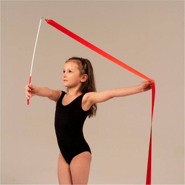 Лента для художественной гимнастики с палочкой Grace Dance 3807364