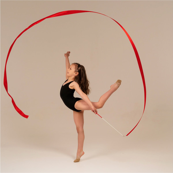 Лента для художественной гимнастики с палочкой Grace Dance 3807364