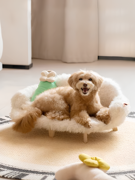 Диванчик для животных Solmax&Zoo SM99659