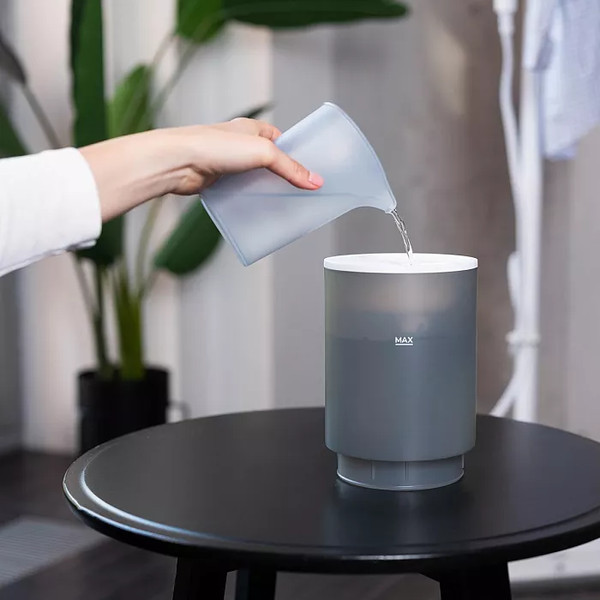 Отпариватель Timberk T-VGS03 (белый)