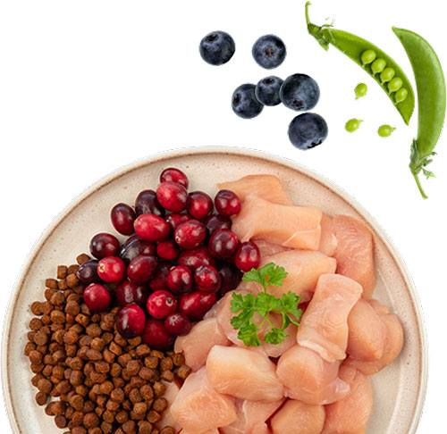 Сухой корм для кошек Bosch Petfood Sanabelle Senior