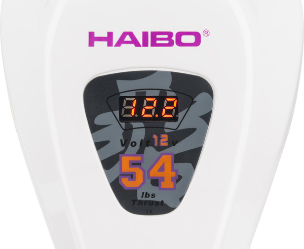 Мотор лодочный Haibo D54