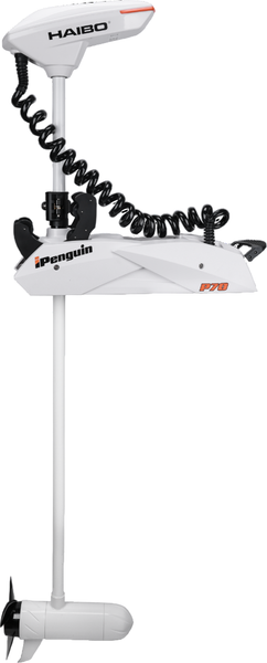 Мотор лодочный Haibo iPenguin P70 12V - фото