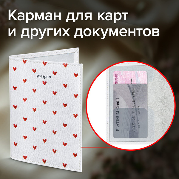 Обложка на паспорт Brauberg 238866