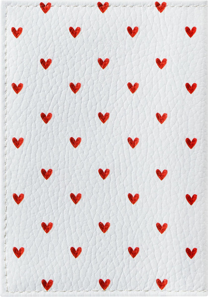 Обложка на паспорт Brauberg 238866