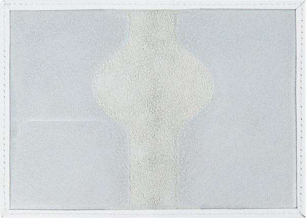 Обложка на паспорт Brauberg 238866