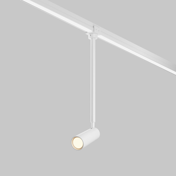 Светильник уличный Maytoni Focus Led O-TR01-2-P-8WW3K - фото