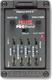 Акустическая гитара Alhambra 4P E2