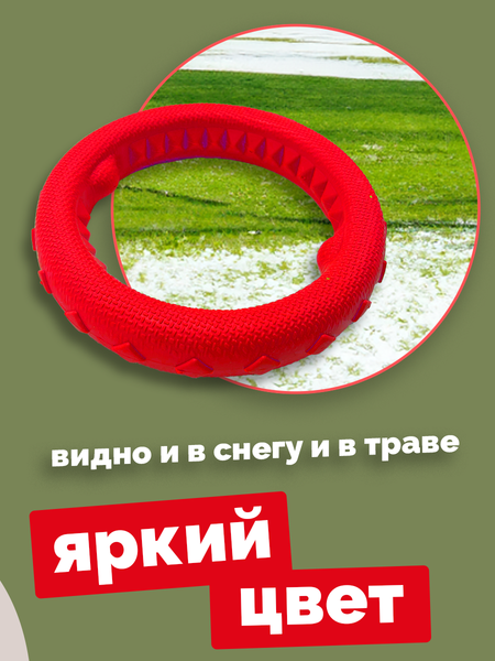 Игрушка для собак ZOONIK Кольцо плавающее / 164112-10