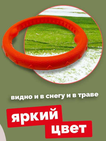 Игрушка для собак ZOONIK Кольцо плавающее / 164159-11