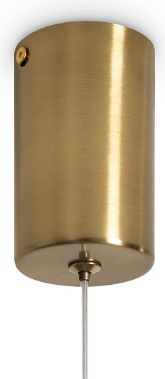 Потолочный светильник Freya Flower FR5579PL-L8BS