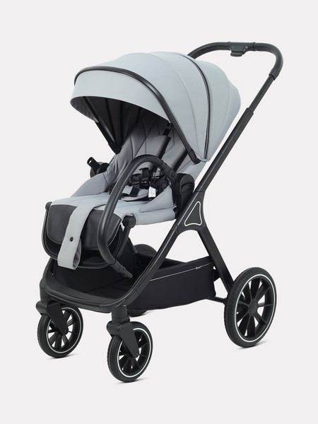 Детская универсальная коляска Rant Basic Terra 2 в 1 / RA163