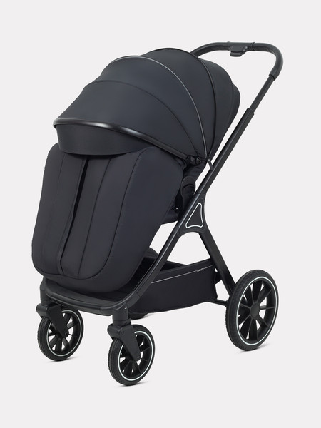 Детская универсальная коляска Rant Basic Terra 2 в 1 / RA163