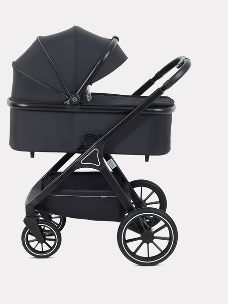 Детская универсальная коляска Rant Basic Terra 2 в 1 / RA163