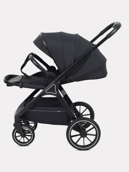 Детская универсальная коляска Rant Basic Terra 2 в 1 / RA163