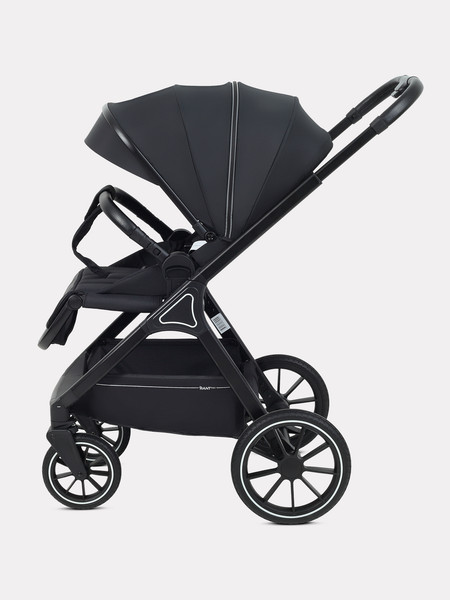 Детская универсальная коляска Rant Basic Terra 2 в 1 / RA163