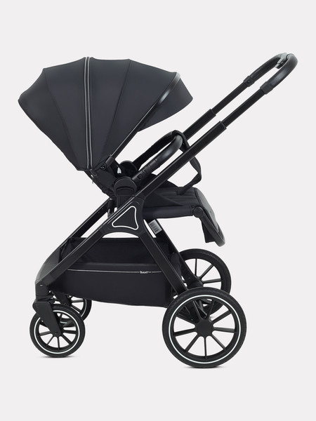 Детская универсальная коляска Rant Basic Terra 2 в 1 / RA163