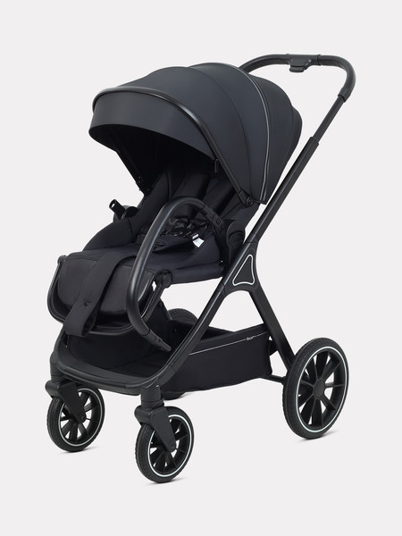 Детская универсальная коляска Rant Basic Terra 2 в 1 / RA163