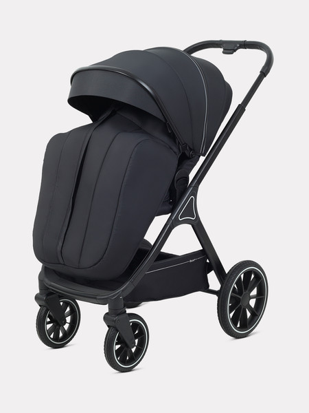 Детская универсальная коляска Rant Basic Terra 2 в 1 / RA163