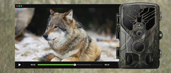 Фотоловушка Suntek HC-810A